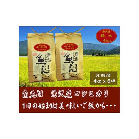 ふるさと納税 令和5年産 湯沢産コシヒカリ＜精米＞（白米）4kg（2kg×2袋）精米したてのお米をお届け 新潟県湯沢町