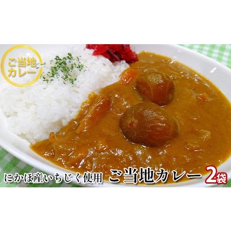 ふるさと納税 ご当地カレー《ダイニングぶなの森オリジナル》にかほ名産 フルーティーないちじくのカレー（レトルト）220g×2個 秋田県にかほ市