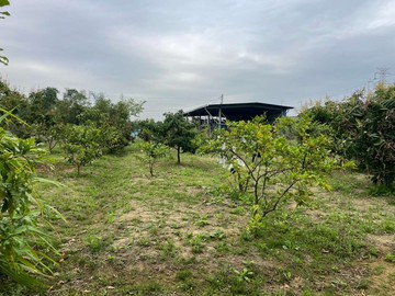 大社近國10高鐵橋優質方正都內農地｜高雄市大社區圳觀段