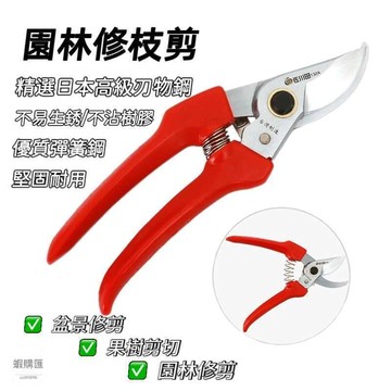 園林剪刀 果樹剪子 修枝剪樹  修剪樹枝剪刀 園藝剪刀 花藝剪枝剪 修枝剪 粗枝剪 花剪 花園剪刀 樹木剪刀【島購匯】