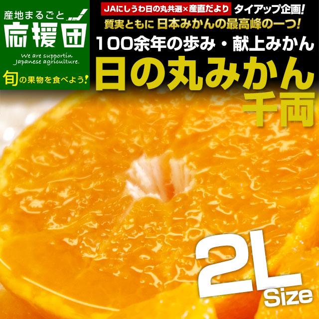 愛媛県より産地直送 JAにしうわ 日の丸みかん 千両 2Lサイズ 約5キロ(35玉前後) 蜜柑 ミカン 送料無料