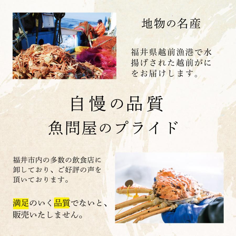 かに カニ 蟹 越前がに 越前蟹 ずわい蟹 ズワイガニ ずわいがに 姿 送料無料 お歳暮 取り寄せ ギフト プレゼント お祝い 普通サイズ 400g〜600g 2杯