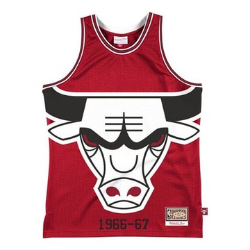 Mitchell & Ness 66-67
