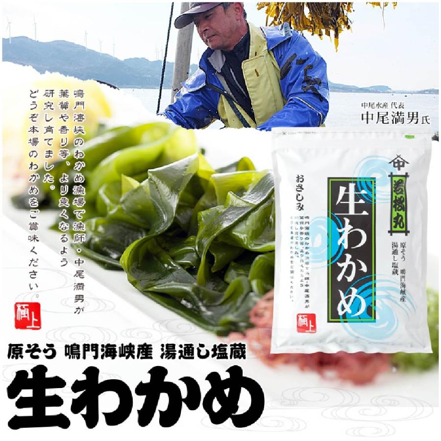 鳴門海峡産  生わかめ（300g）×9個セット