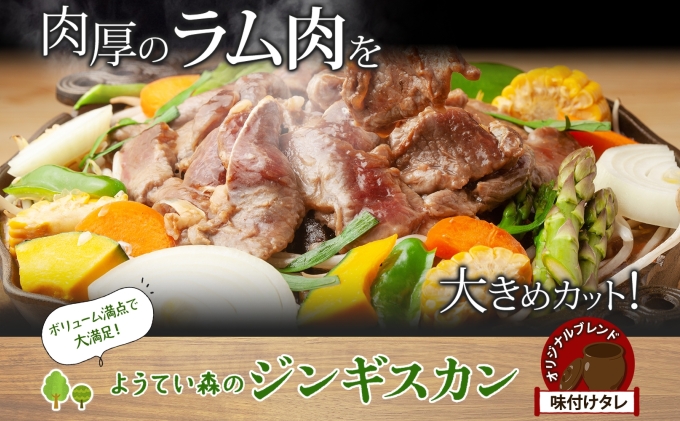 ようてい森のジンギスカン 300g×3パック ジンギスカン グルメ ジビエ お取り寄せ 羊肉 成吉思汗 BBQ パーティー 羊 焼肉 ラム 小分け 夕食 夜食 お土産 エムアンドエフサービス 送料無料 北海道 倶知安町