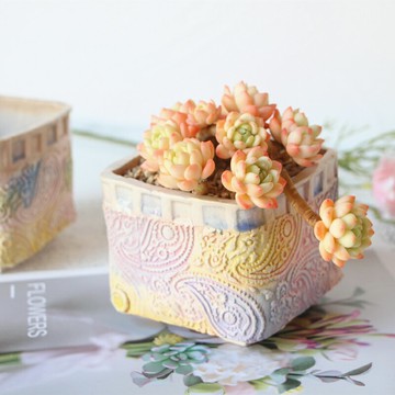 景德鎮一卌印花彩虹磨砂中溫白泥透氣吸水中號群生拼盤帶腳多肉盆