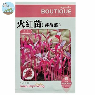 【原廠包裝】火紅苗種子 芽苗菜 紅莧菜系 室內水耕也可 約100粒 自家種植安心吃 高纖養生 7天可收成