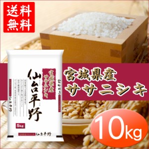 ササニシキ 10kg 宮城県産ササニシキ 10kg米 令和2年産 ごはん うるち米 精白米 ササニシキ 10kg 送料無料 宮城県産 ささにしき 『仙台平