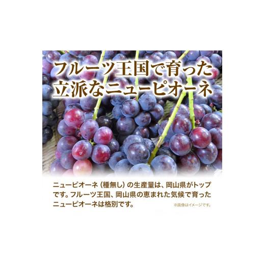 ふるさと納税 岡山県 浅口市 ニューピオーネ 2房 1kg ウィズフラワーホールディングス《9月上旬-10月中旬頃出荷》岡山県 浅口市 ぶどう ピ…