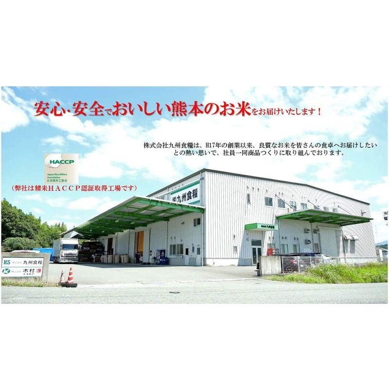 米 お米 ５ｋｇ くまモン 菊池米 ひのひかり 白米 熊本県産 令和４年産