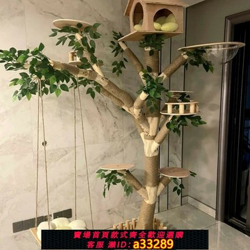 {可打統編 超低價}貓爬架貓窩一體貓玩具貓抓板窩貓爬架特價清倉逗貓貓咪攀爬架