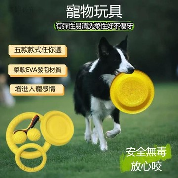 台灣熱銷👑寵物玩具 磨牙玩具 飛盤 狗狗訓練 狗玩具 耐咬磨牙 邊牧金毛柯基訓狗專用球 訓狗專用球帶54F6