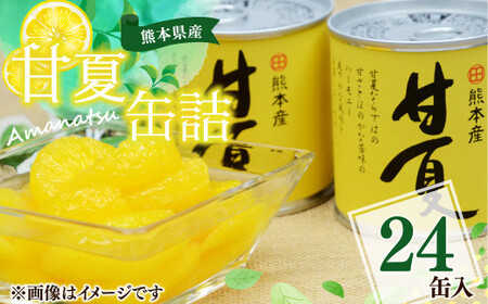  甘夏 缶詰 295g×24缶 果物 柑橘 フルーツ