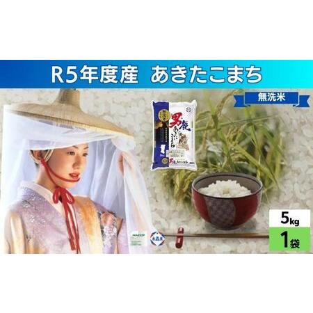 ふるさと納税 無洗米 令和5年産 あきたこまち 5kg×1袋 秋田県 男鹿市 秋田食糧卸販売 秋田県男鹿市