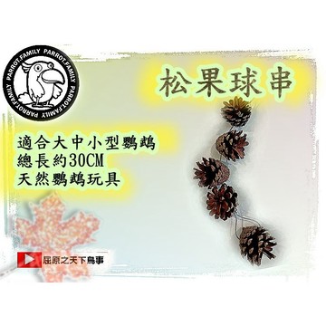 鸚鵡玩具 龍貓玩具 鸚鵡哨子 寵物玩具 鸚鵡週邊 鸚鵡通用 鸚鵡木玩具 鸚鵡不鏽鋼玩具 鸚鵡松果