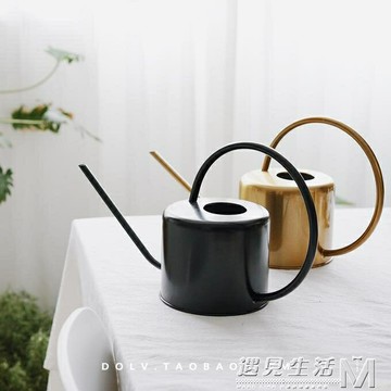 北歐金屬澆水壺出口品質黃銅澆花壺園藝工具 99購物節