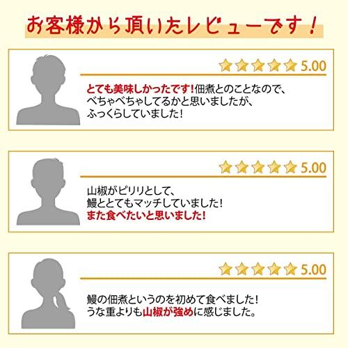 あゆの店きむら 国産 うなぎ 山椒煮 60g 2個入 詰め合わせ   2UN