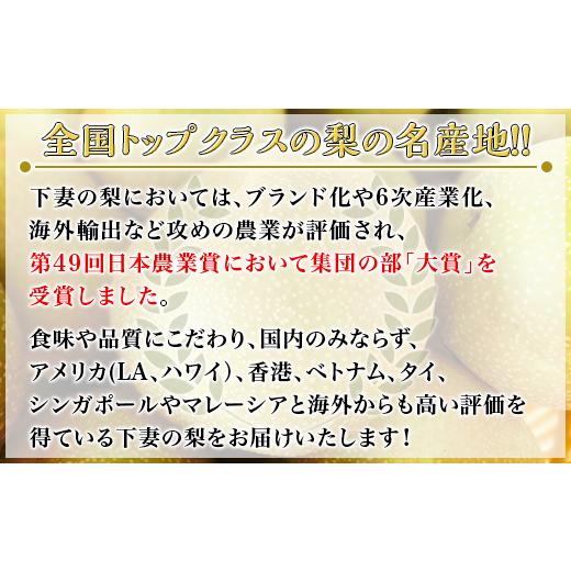 ふるさと納税 茨城県 下妻市 茨城県産「豊水梨」約5kg