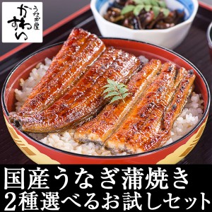 うなぎ屋かわすい 国産 うなぎ 蒲焼き 2種セット ウナギ 蒲焼 うなぎ蒲焼き うなぎ蒲焼 贈り物 グルメ ギフト  送料無料 お歳暮　御歳暮