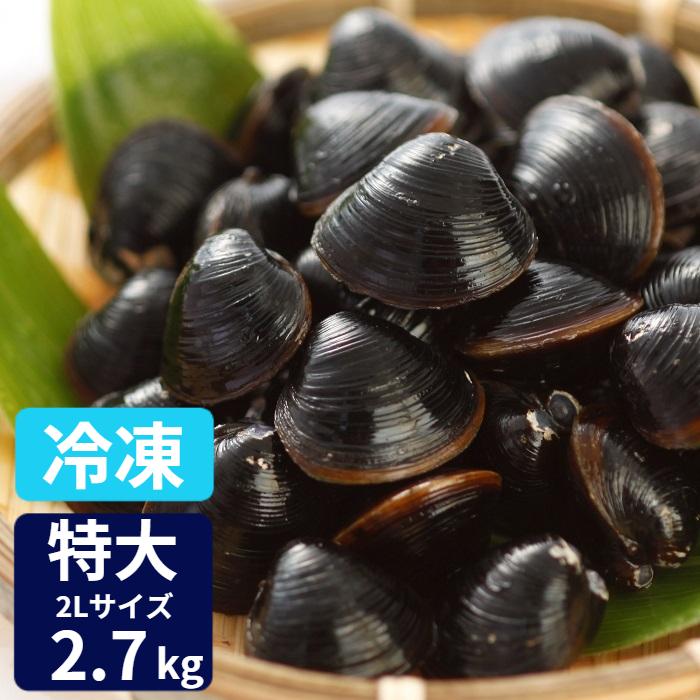 冷凍 しじみ 送料無料 砂抜き済み 特大粒 2Lサイズ 2700g（900ｇ×３）味噌汁 漁師直送 島根県 宍道湖産 大和しじみ ギフト オルニチン 亜鉛 レシピ付き