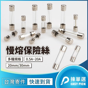慢熔保險絲 慢熔保險絲 250V Fuse 30mm 20mm 3cm 2cm Time-Lag 熔絲 保護裝置 延遲型