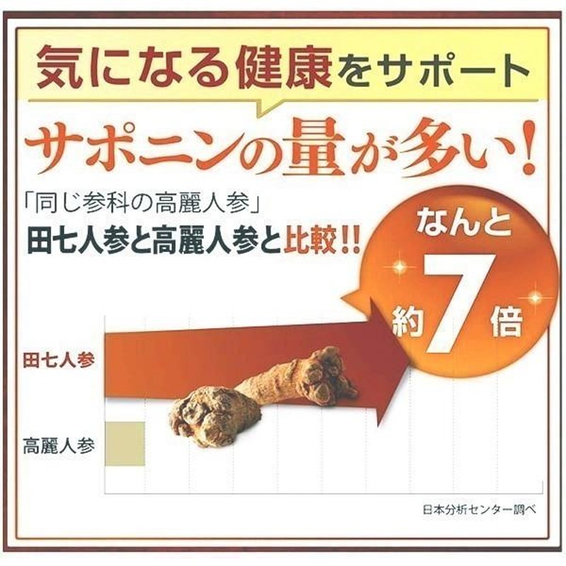 田七人参 白井田七 240粒入り パウチタイプ 3袋 和漢の森 尿酸 白井伝