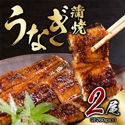 ふるさと納税 日南市 職人手焼きうなぎ　2匹