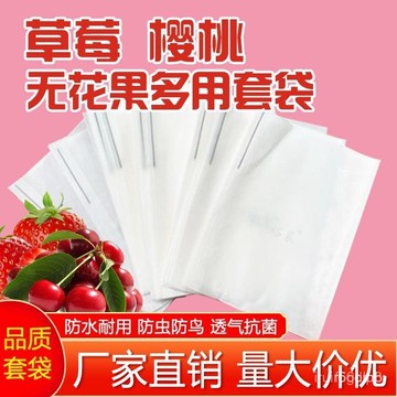 🔥桃園有貨🔥草莓套袋半透明蠟袋大櫻桃專用袋車釐子西梅無花果防雨防水保護袋 WISV