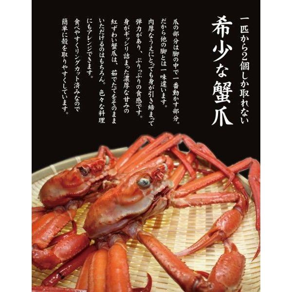 ズワイガニ カニ  紅ズワイガニ 北海道産 お取り寄せ 直送 海産物 紅ずわい 生 蟹爪 500g 2L