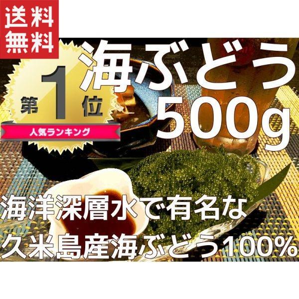 みやぎ商店 久米島産海ぶどう500g×1箱 ビアナッツおまけ付き 海ぶどう 沖縄 海洋深層水 で有名な久米島産海ぶどう100％ お土産 送料無料 おすすめ