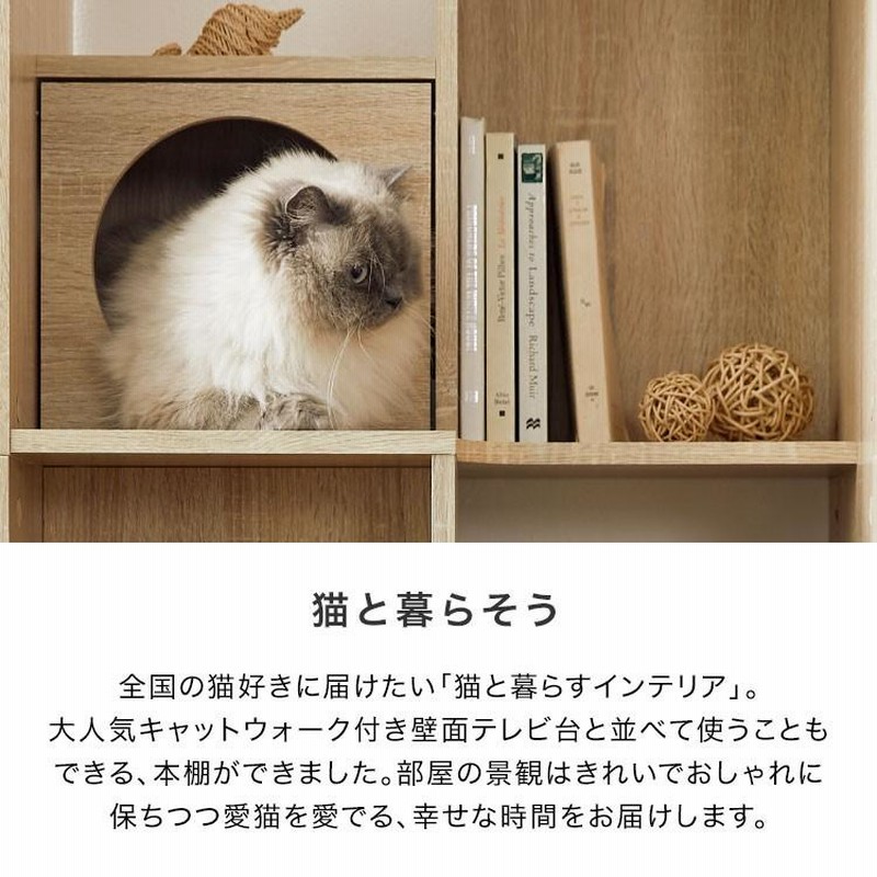 キャットタワー キャットウォーク 猫家具 本棚 収納 おしゃれ 60
