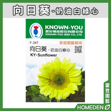 【隔日到貨】向日葵-奶油白綠心 F-347 花卉種子 農友牌 小包裝種子 約10粒/包【HOMEDEN霍登園藝】