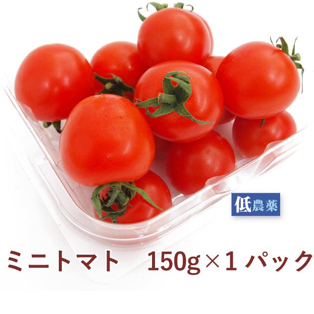 ミニトマト　150g×1パック　静岡産 低農薬栽培  送料別　ポイント消化 食品