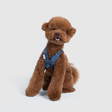 UNIVERSAL OVERALL 聯名︱丹寧胸背帶