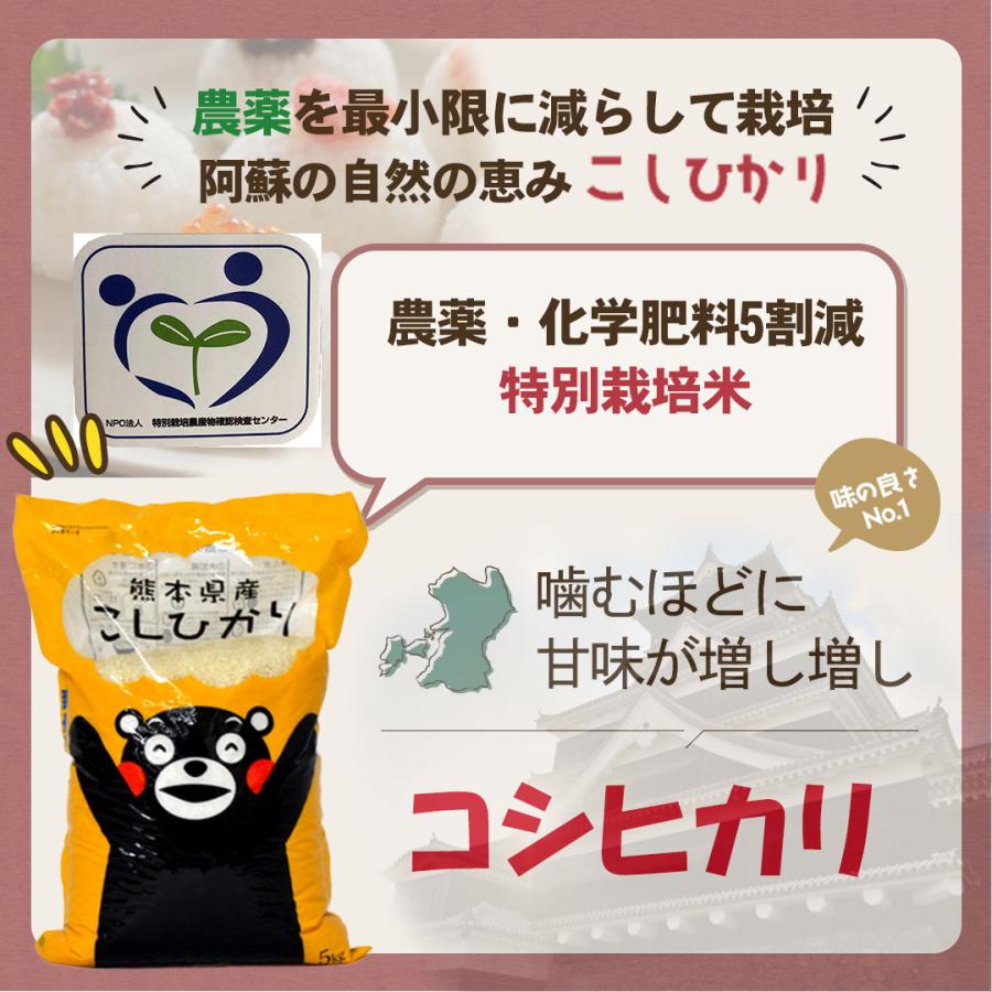 くまモン令和４年　熊本県阿蘇産コシヒカリ　白米5kg　 送料無料米 お米 コメ九州産