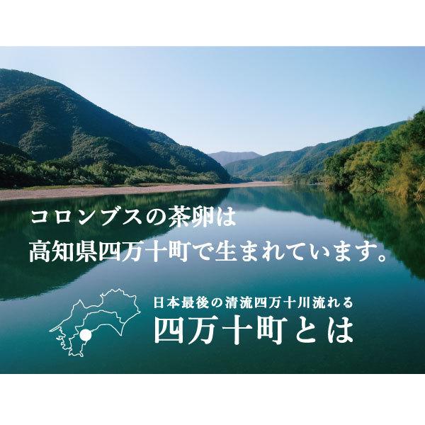 高知県四万十町産 コロンブスの茶卵6個入　こだわり卵 コロンブスの茶卵 高知卵 アレルギー 卵