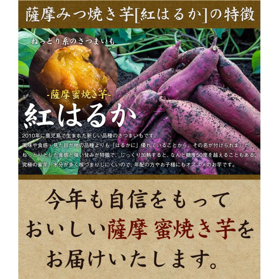 薩摩 蜜焼き芋 紅はるか 2kg（冷凍焼き芋・大小サイズ混合）さつまいも べにはるか さつま芋 焼き芋