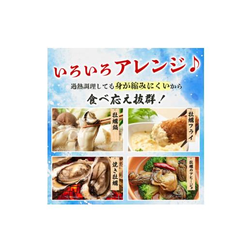 ふるさと納税 兵庫県 赤穂市 牡蠣 定期便 生食 坂越かき むき身 500g×1、 殻付き 12個(牡蠣ナイフ・軍手付き)2ヵ月連続お届け 生牡蠣 冬牡蠣