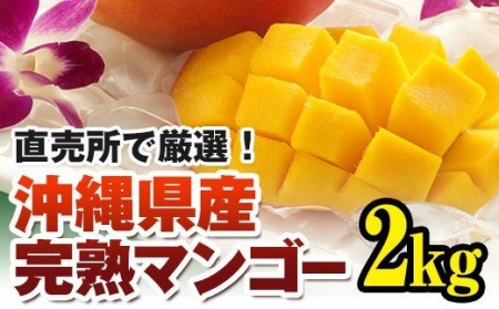 直売所で厳選　沖縄県産「完熟マンゴー」2kg