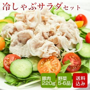 冷しゃぶ サラダセット 九州野菜5-6品 しゃぶしゃぶ用豚肉 野菜ドレッシング クール便