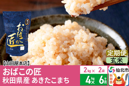 《定期便6ヶ月》令和5年産 仙北市産 おばこの匠 4kg×6回 計24kg 6か月 6ヵ月 6カ月 6ケ月 秋田こまち お米 秋田県産あきたこまち