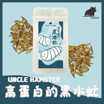 |勞叔高蛋白の黑水虻| 黑水虻乾 倉鼠零食 小動物零食 倉鼠點心 蛋白質補充 蟲乾 倉鼠 沙鼠 黃金鼠 盧丁雞 角蛙守宮