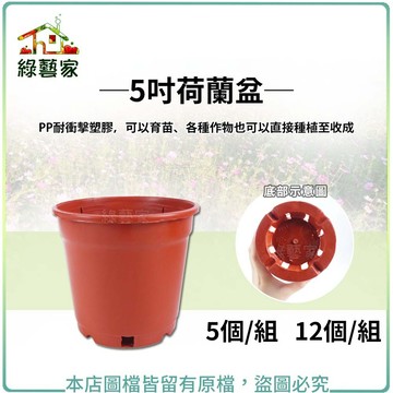 【綠藝家】5吋荷蘭盆(栽培盆)5個/組.12個/組※賣場另有其他尺寸※紅盆 盆栽 花盆  草花用盆 園藝用品