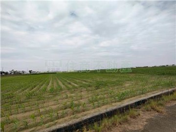 塩水番子厝434農地｜台南市鹽水區番子厝段