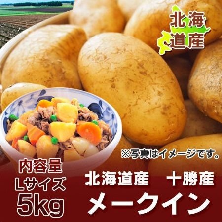 じゃがいも 送料無料 メークイン 北海道 メークイン 5kg Lサイズ ジャガイモ 北海道産 野菜 じゃがいも