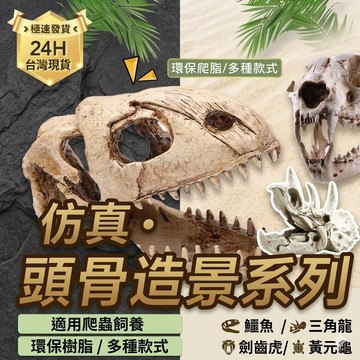 陸龜驛站｜爬蟲缸造景裝飾 爬寵 魚缸水族 恐龍化石造型 三角龍 頭骨 骨頭 蜥蜴守宮躲藏躲避模型雕像動物頭