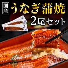 国産うなぎ蒲焼・2尾セット全12回