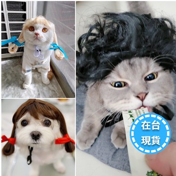 🔥在台現貨.附發票.快速出貨🔥寵物萬聖節變裝影片假髮套 狗狗假髮cospaly道具 寵物頭飾 狗狗頭飾變身裝