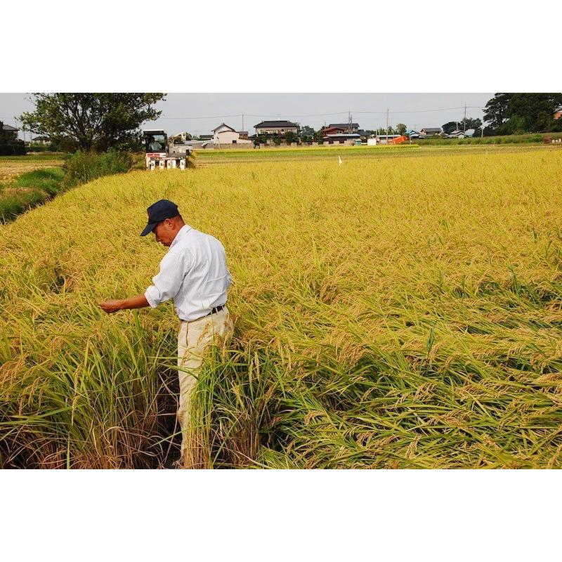 令和5年産 残留農薬ゼロ コシヒカリ 玄米20ｋｇ　北川辺 大利根産 特栽減減 新米