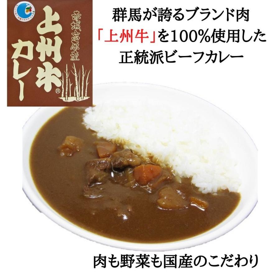 10％OFFクーポン配布中 惣菜4種セット 20食 牛丼 豚丼 カレー 地鶏炭火焼 送料無料